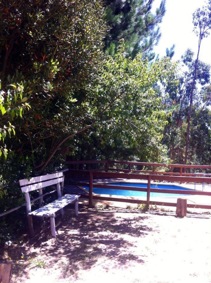 Fotografía 4 de Agroturismo Entre Bosques en Tome, Bio Bio
