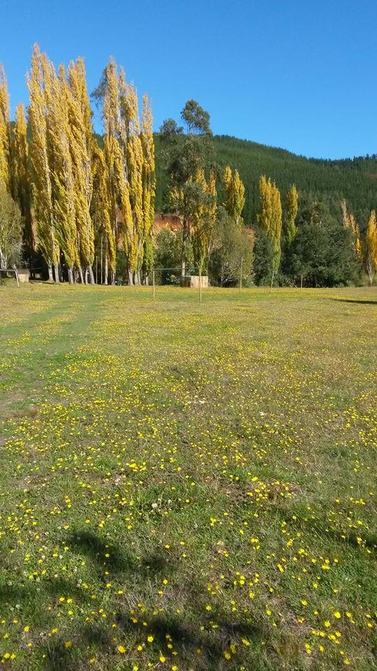 Fotografía 3 de Hostería y Camping Caramávida en Los Alamos, Bio Bio