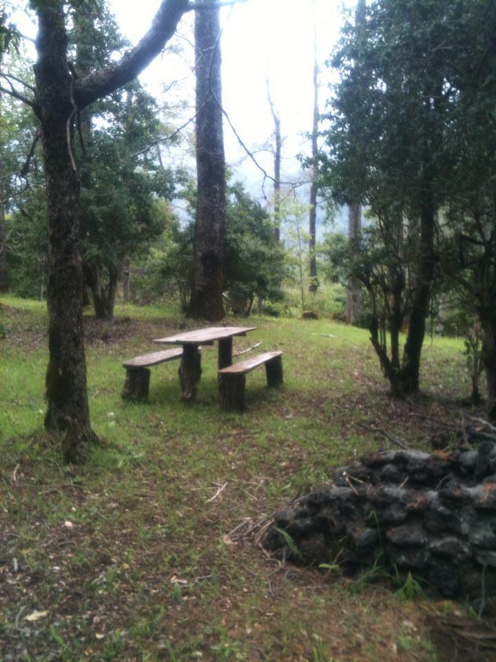 Fotografía 7 de Agroturismo Los Riscos en Melipeuco, Araucania