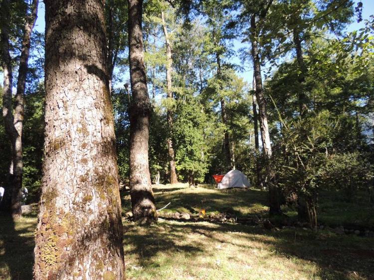Fotografía 9 de Agroturismo Los Riscos en Melipeuco, Araucania