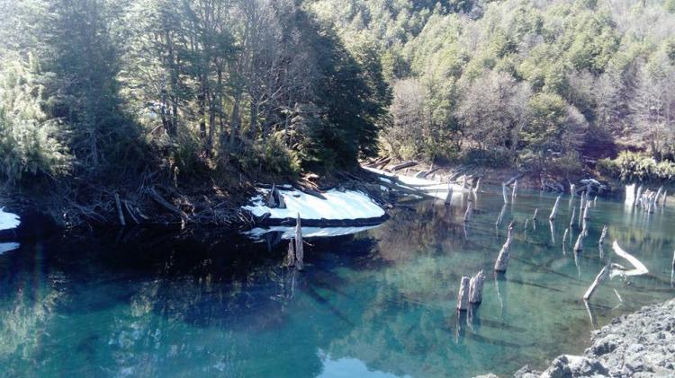 Fotografía 11 de Agroturismo Los Riscos en Melipeuco, Araucania