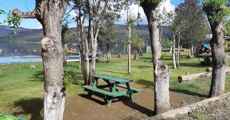 Fotografía 11 de Camping y Cabañas Bordelago en Contulmo, Bio Bio