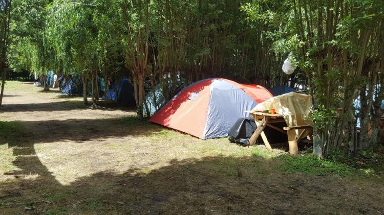 Fotografía 8 de Camping Familia Gerbers en Panguipulli, Los Rios
