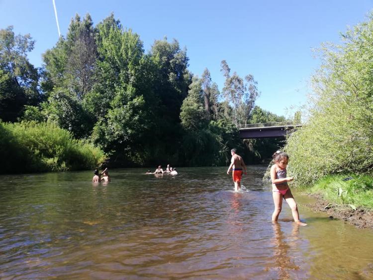 Fotografía 6 de Camping Villa Nieves en Freire, Araucania