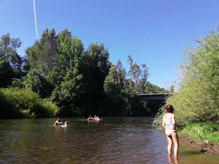 Fotografía 8 de Camping Villa Nieves en Freire, Araucania
