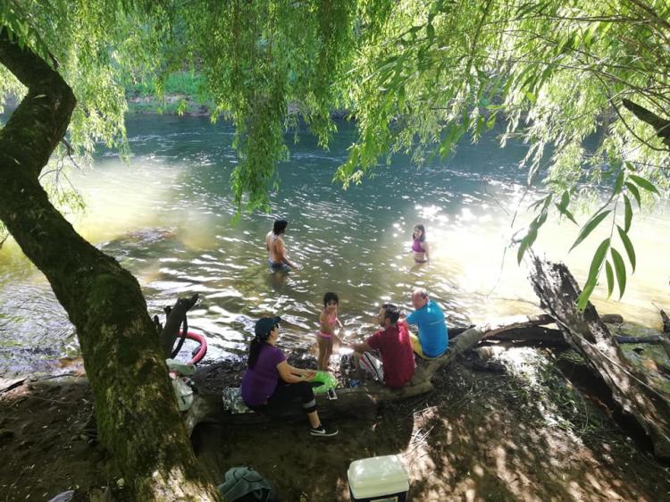 Fotografía 10 de Camping Villa Nieves en Freire, Araucania