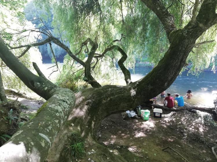 Fotografía 9 de Camping Villa Nieves en Freire, Araucania