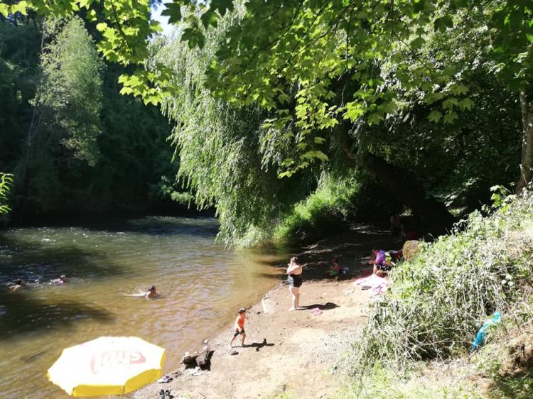 Fotografía 13 de Camping Villa Nieves en Freire, Araucania