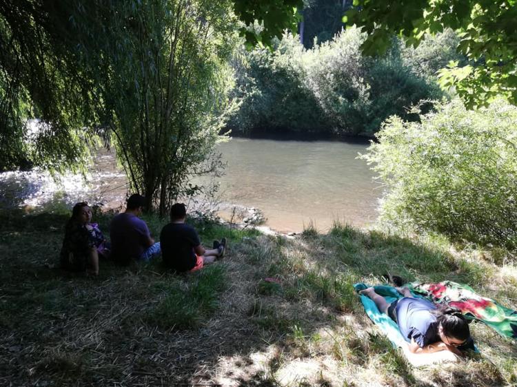 Fotografía 14 de Camping Villa Nieves en Freire, Araucania