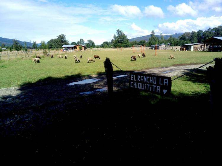 Fotografía 18 de Camping El Rancho La Chiquitita en Lanco, Los Rios