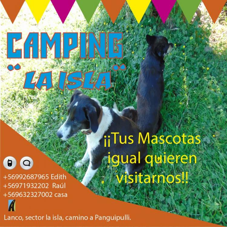 Fotografía 4 de Camping La Isla en Lanco, Los Rios