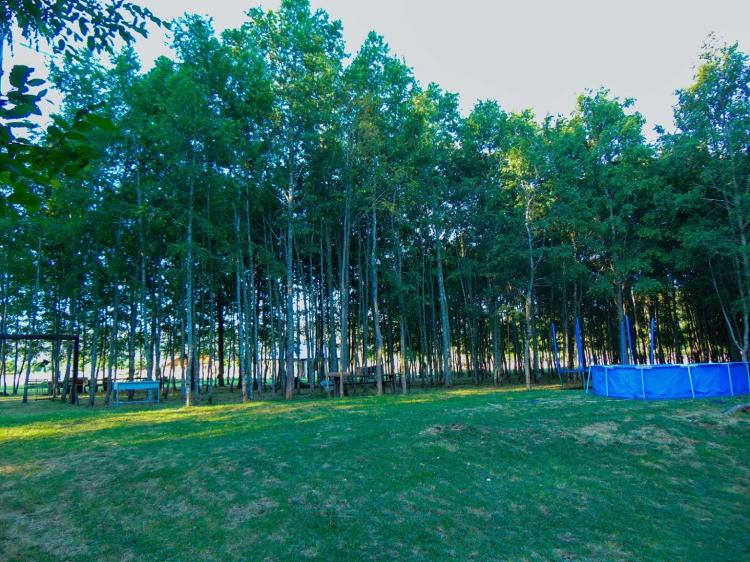 Fotografía 8 de Camping La Isla en Lanco, Los Rios
