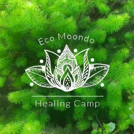 Fotografía 3 de Eco Moondo Campamento Ecologico en San Clemente, Maule