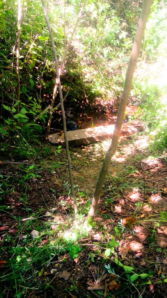 Fotografía 7 de Eco Moondo Campamento Ecologico en San Clemente, Maule