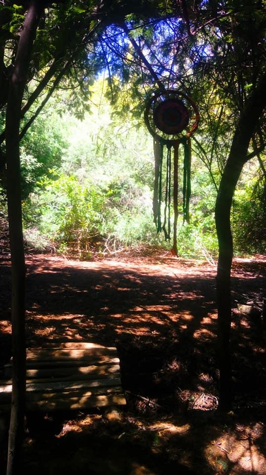 Fotografía 8 de Eco Moondo Campamento Ecologico en San Clemente, Maule