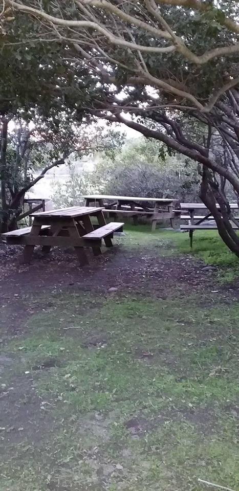 Fotografía 14 de Camping y Artesanía El Carro en San Clemente, Maule