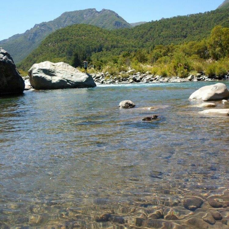 Fotografía 3 de Camping y Cabaña Los Copihues en Linares, Maule