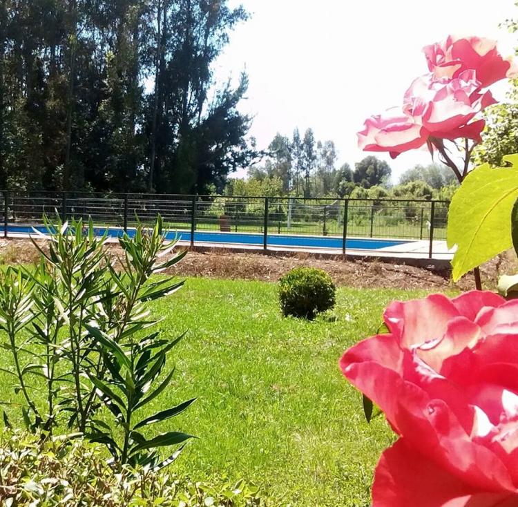 Fotografía 3 de Camping Quero en Colbun, Maule