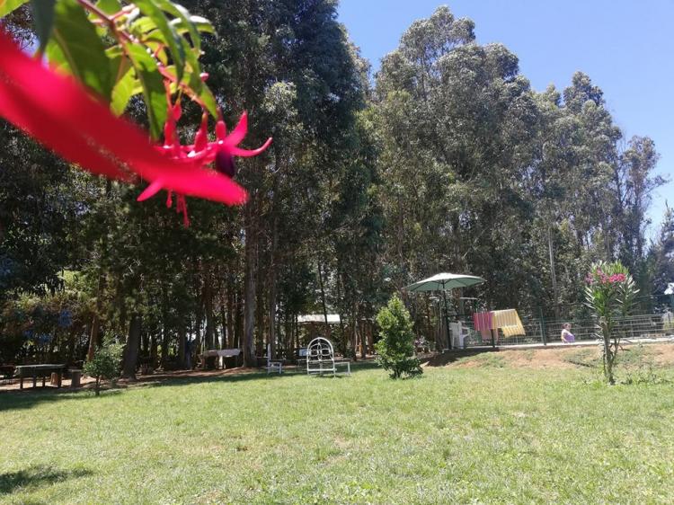 Fotografía 8 de Camping Quero en Colbun, Maule