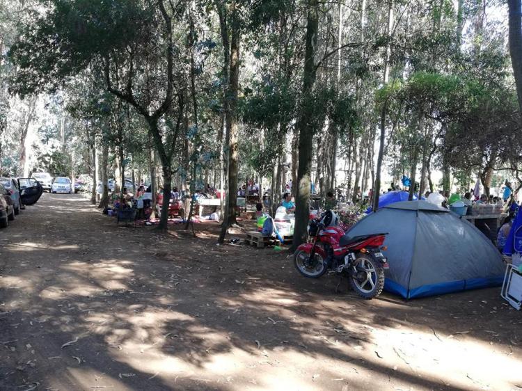 Fotografía 9 de Camping Quero en Colbun, Maule