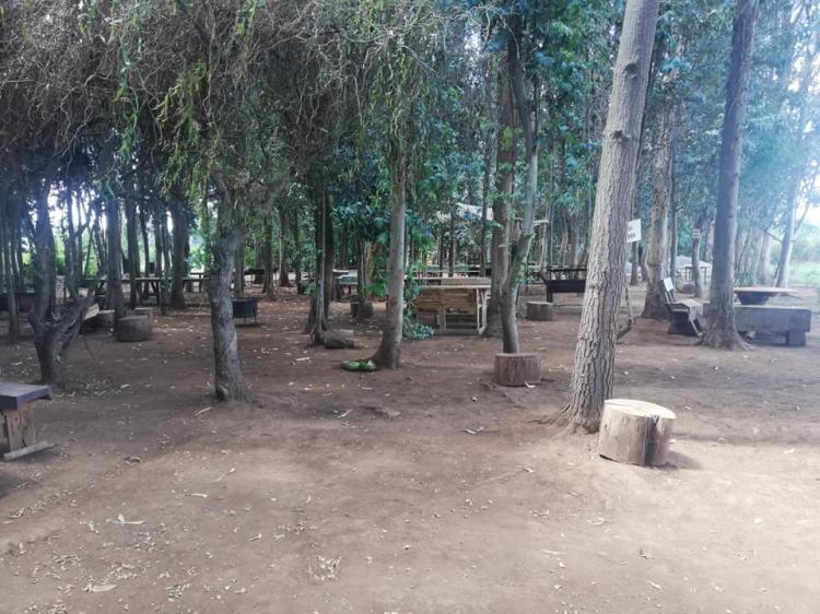 Fotografía 12 de Camping Quero en Colbun, Maule