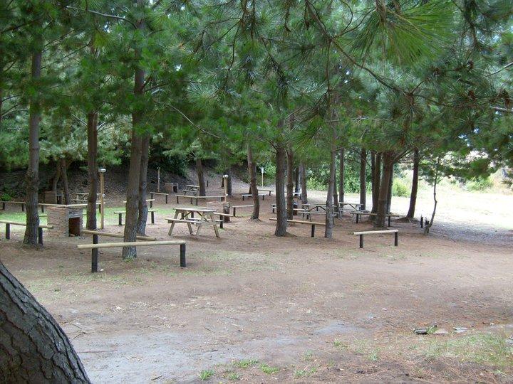 Fotografía 3 de Camping Inalaf en Pelluhue, Maule
