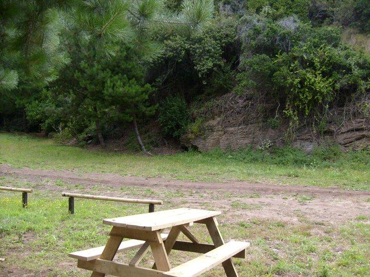 Fotografía 4 de Camping Inalaf en Pelluhue, Maule
