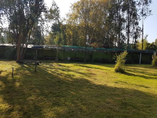 Fotografía 3 de Camping Del Moreno en Panquehue, Valparaiso