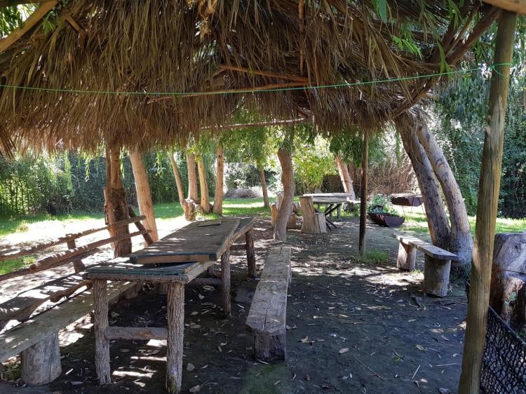 Fotografía 4 de Camping Del Moreno en Panquehue, Valparaiso