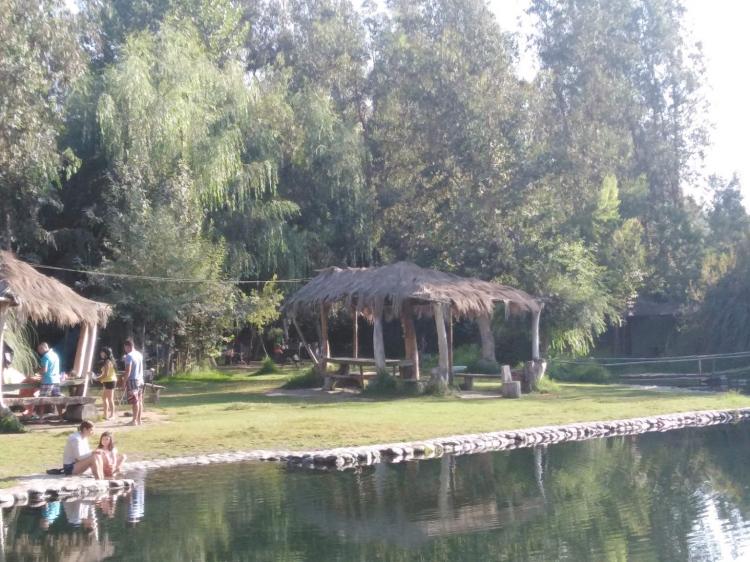 Fotografía 7 de Camping Del Moreno en Panquehue, Valparaiso