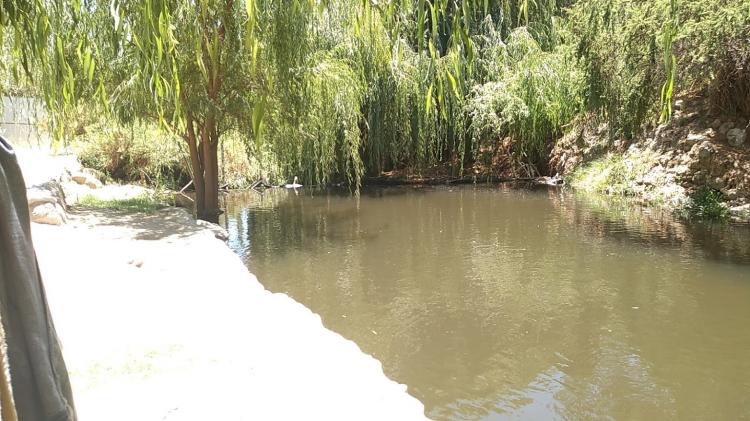 Fotografía 7 de Camping Nueva Alborada en Paihuano, Coquimbo