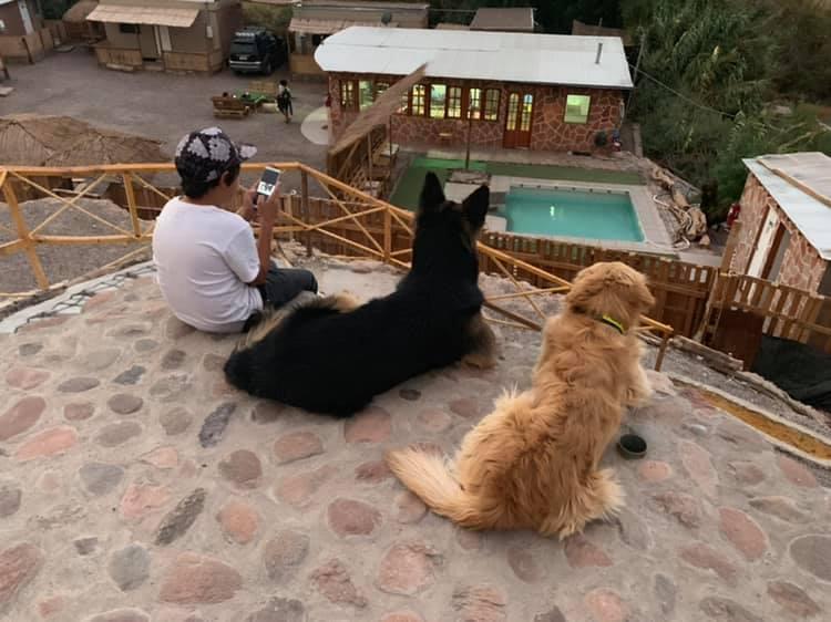 Fotografía 14 de Camping y Cabañas Altos de Quitor en San Pedro De Atacama, Antofagasta