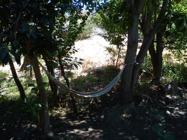 Fotografía 9 de Camping Las Rocas del Encanto en Rio Hurtado, Coquimbo