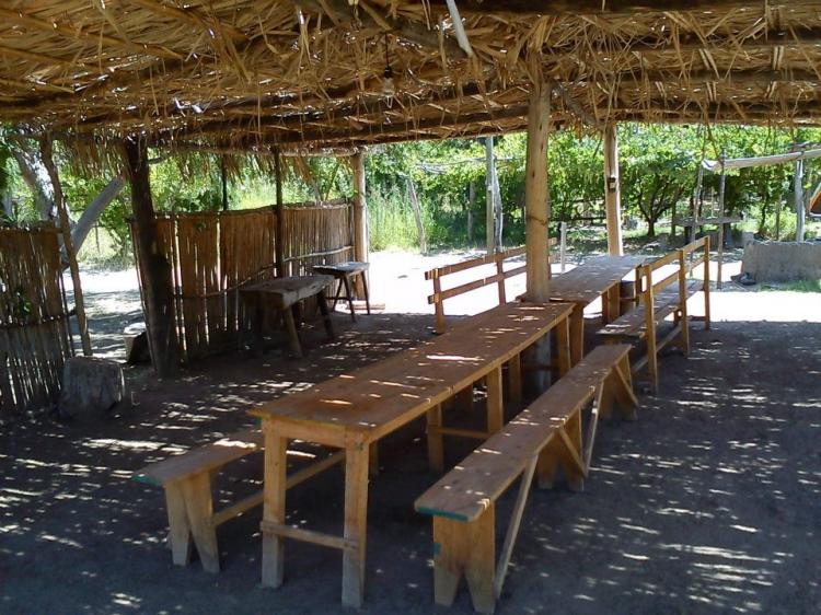Fotografía 11 de Camping Las Rocas del Encanto en Rio Hurtado, Coquimbo
