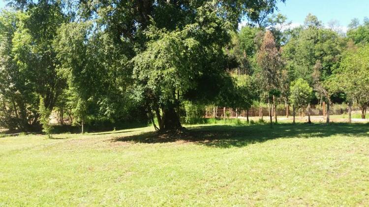 Fotografía 10 de Campig Kinba en Collipulli, Araucania