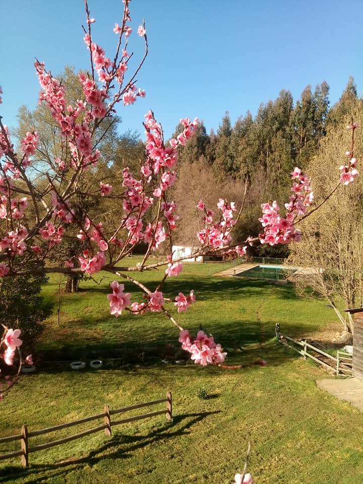 Fotografía 14 de Campig Kinba en Collipulli, Araucania