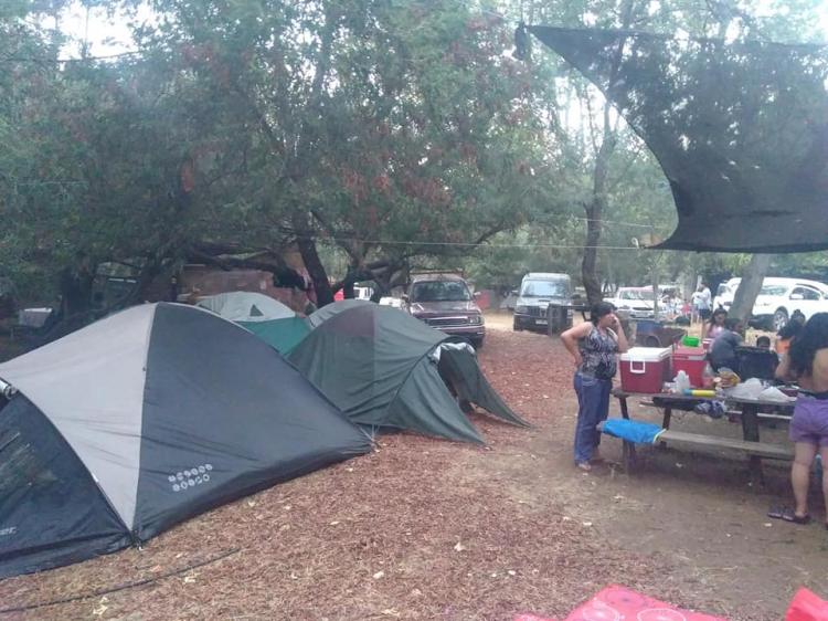 Fotografía 9 de Camping Santa Amelia en Ercilla, Araucania