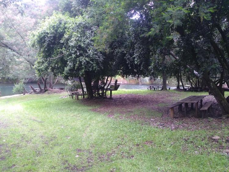 Fotografía 14 de Camping Santa Amelia en Ercilla, Araucania