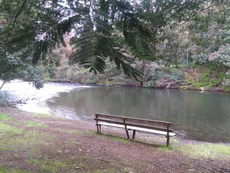Fotografía 15 de Camping Santa Amelia en Ercilla, Araucania