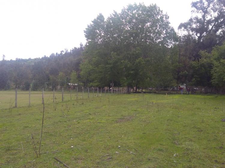 Fotografía 16 de Camping Santa Amelia en Ercilla, Araucania