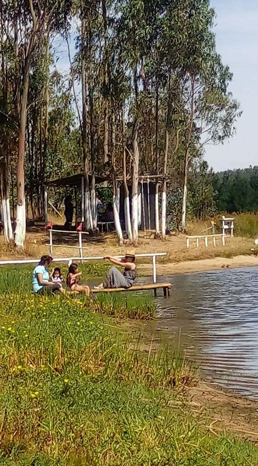Fotografía 2 de Camping FRAN DOR en Los Sauces, Araucania