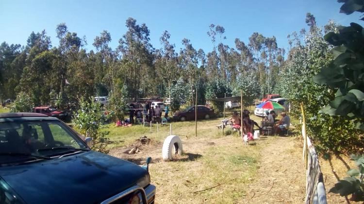 Fotografía 5 de Camping FRAN DOR en Los Sauces, Araucania