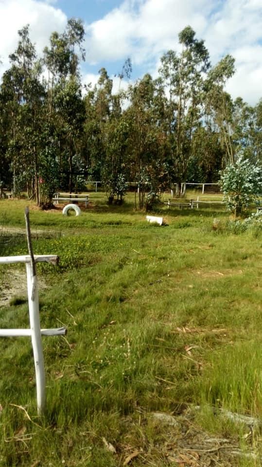 Fotografía 6 de Camping FRAN DOR en Los Sauces, Araucania