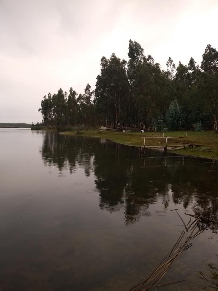 Fotografía 14 de Camping FRAN DOR en Los Sauces, Araucania