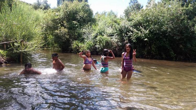 Fotografía 2 de Camping Chanko Mawida en Lumaco, Araucania