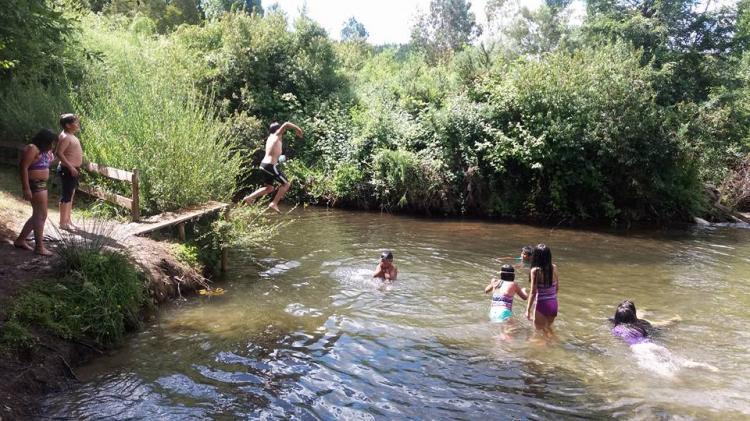Camping Chanko Mawida en Lumaco, Araucania
