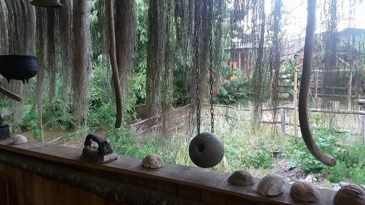 Fotografía 11 de Camping Chanko Mawida en Lumaco, Araucania