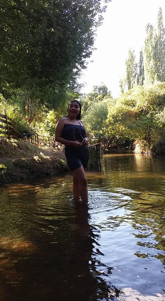Fotografía 13 de Camping Chanko Mawida en Lumaco, Araucania