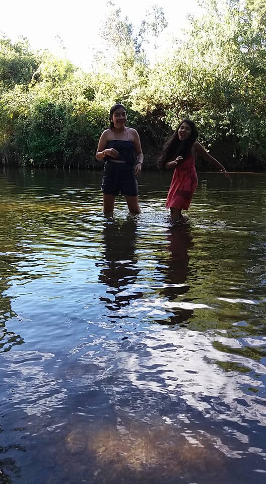 Fotografía 14 de Camping Chanko Mawida en Lumaco, Araucania