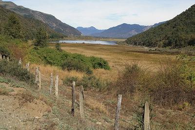 Fotografía 2 de Camping El Estero en Lautaro, Araucania